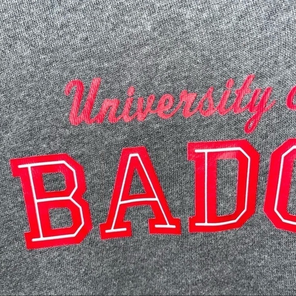 PINK Victoria’s Secret Wisconsin Badgers Hoodie Sweatshirt Size Extra Small - Picture 4 of 13